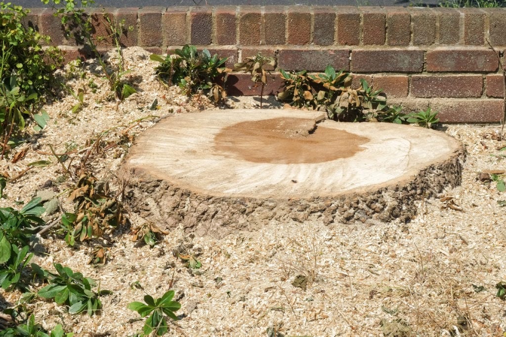 Stump Removal Melbourne